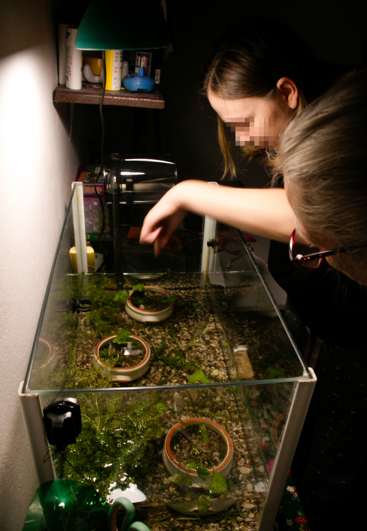 Almost ready to have some fish... soon.