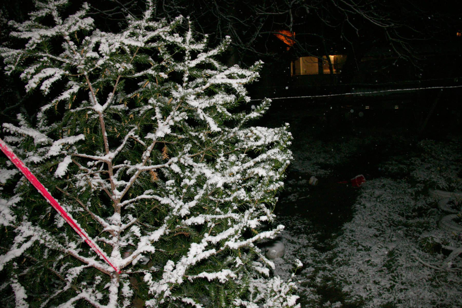 The first snow this winter.
